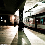 IMG_8868.jpg