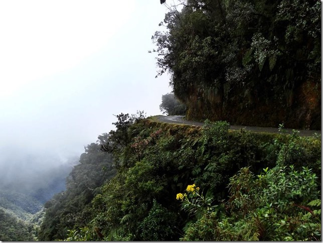 North_Yungas_DSC00807