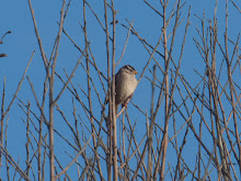 P5130609