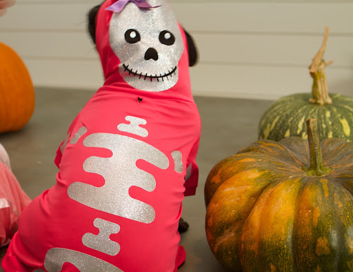 This Skeleton Costume is sure to scare the socks off of our neighbors when I show up wearing these glowing bones!