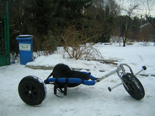 sigma buggy sigma buggy