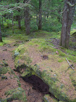 mount_st._hellens