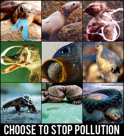 stop pollution