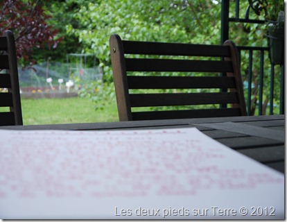 P1020116 P1020116
