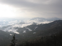 IMG_3419.JPG