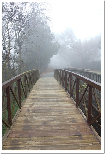 111220_fog_footbridge