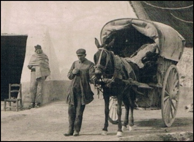 Barraca en la huerta. 1922 Barraca en la huerta. 1922