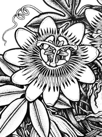 [passionflower%2520closeup%255B10%255D.jpg]