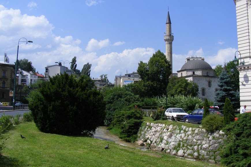 DSCF0006.JPG