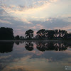 dsc03385.jpg