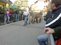 23102011652.jpg