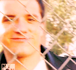 tumblr_lzw86qo5KE1qd8qkvo3_250