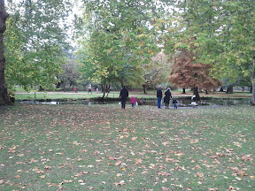2010-10-23 11.24.33.jpg