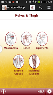 How to mod AnatomyMapp patch 1.0 apk for bluestacks