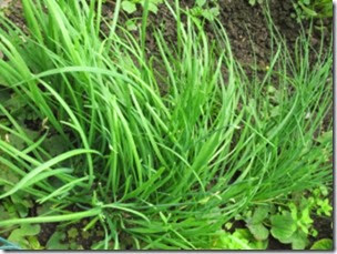 clip_image004 clip_image004