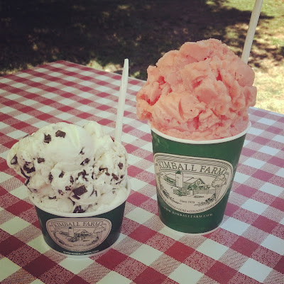 Small mint chocolate chip & large strawberry watermelon sorbet