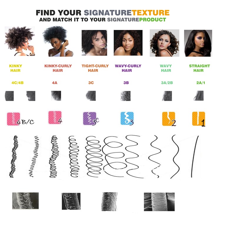 [CHART20copy1-find-your-hair-texture-%255B2%255D.jpg]