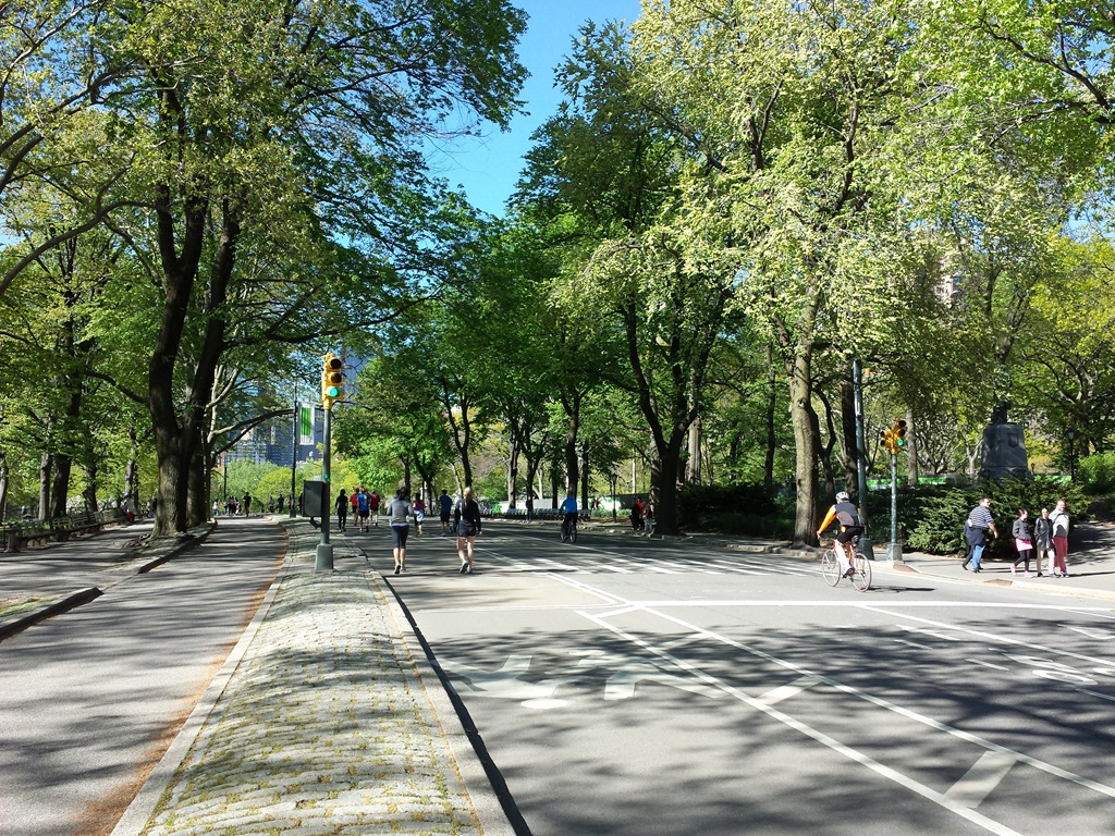 [Running%2520in%2520Central%2520Park%2520NYC%255B4%255D.jpg]