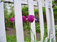 100_7911.jpg