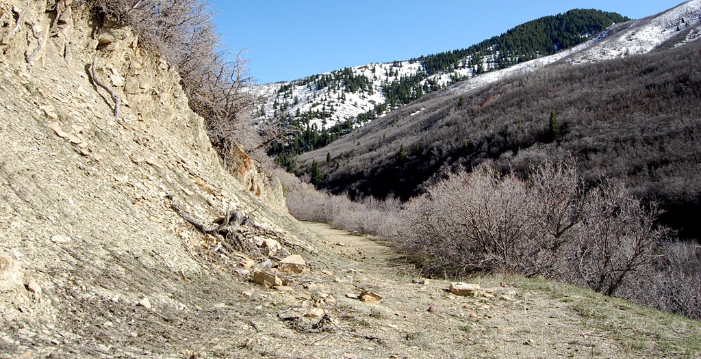 [may2011lambscanyon325.jpg]