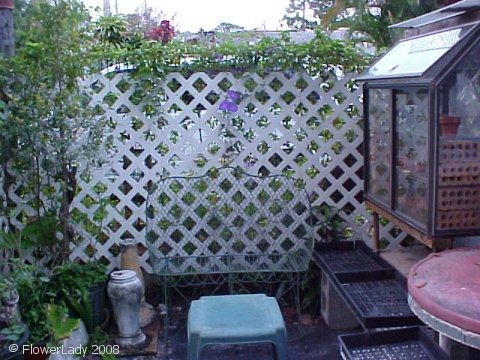 [02-21-potting-area2%255B4%255D.jpg]