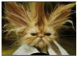 [image%255B11%255D.png]
