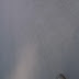 R0029838.JPG