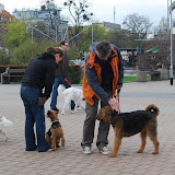 Kurs podstawowy IV-V.2010