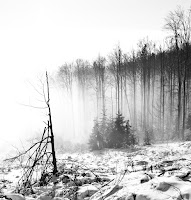 VolovskeVrchy-KojsovaHola-27122011-03.jpg Photo VolovskeVrchy-KojsovaHola-27122011-03.jpg Photo