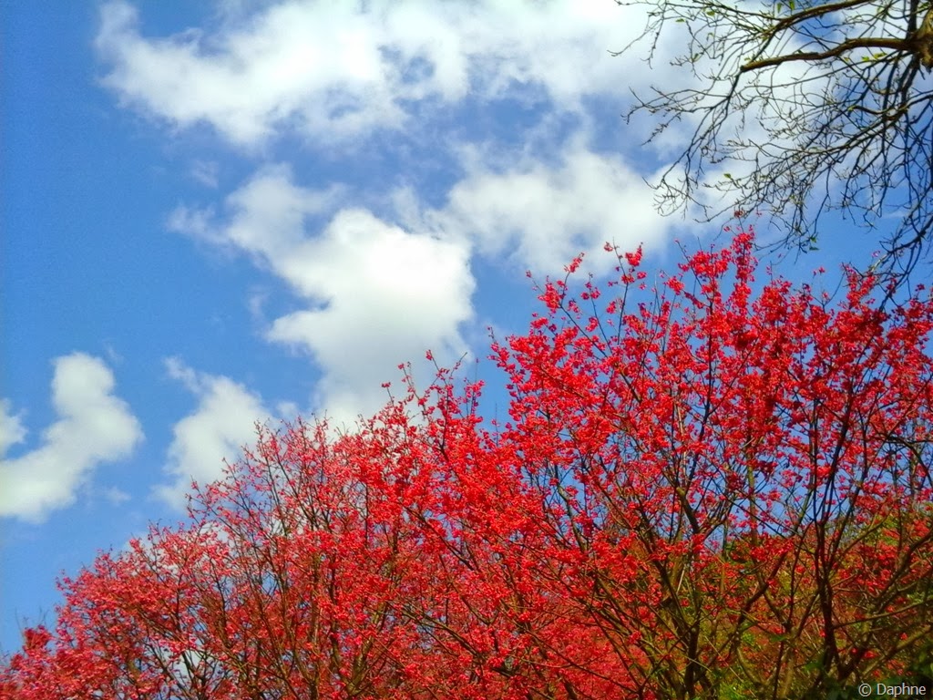 [2014-01-31%252012.29.33%255B5%255D.jpg]