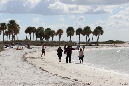 Fred Howard Park beach