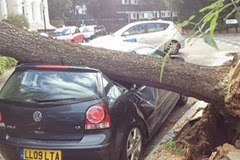 Fallen-tree-on-car-in-north-London-2646870