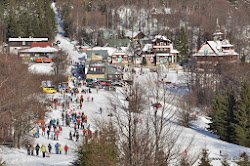V zimě jsou pustevny a přilehlé lyžařské svahy střediskem zimních sportů. Více se dozvíte na stránkách  <a href="http://www.skialpin.cz/" " target="_blank">Lyžařského střediska SkiAlpin</a>