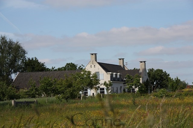 droomhuis