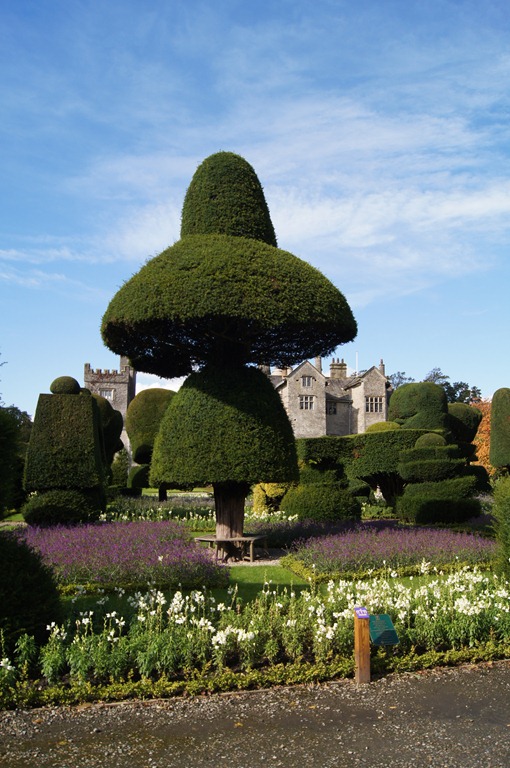 [levens-hall-topiary-153.jpg]