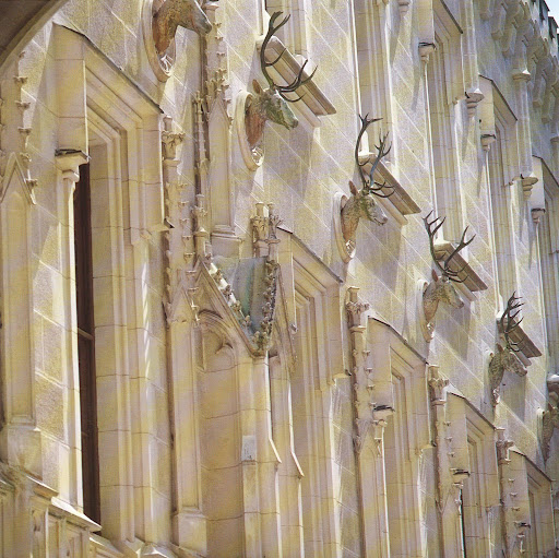 The wooden stags' heads on the walls of Hluboka are just fantastic.