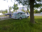 Zaungast Buckelvolvo