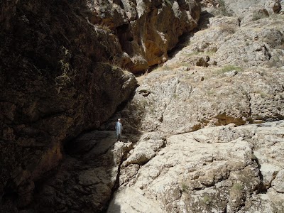 DSCN3923.jpg