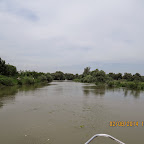 IMG_5221.JPG