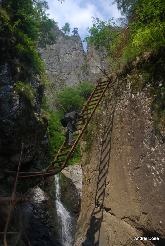 58.jpg