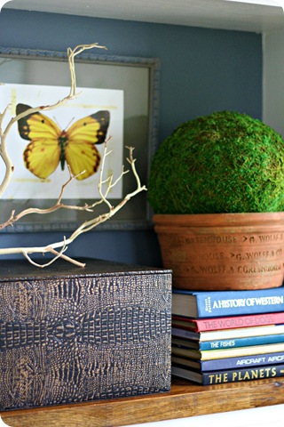 accessorizing bookcases