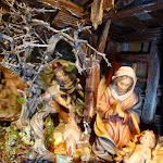 1499-12.JPG