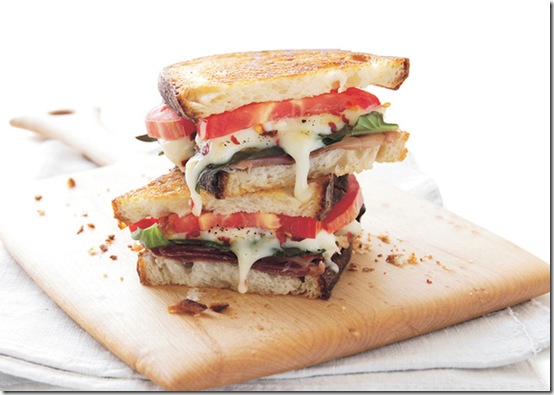 grilled-cheese-food-pron-4
