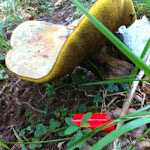 IMG_1560.JPG