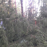 2012-08-06 17.57.40.jpg