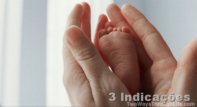 [Arvore-da-Vida-22Abr2011_23%255B8%255D.jpg]