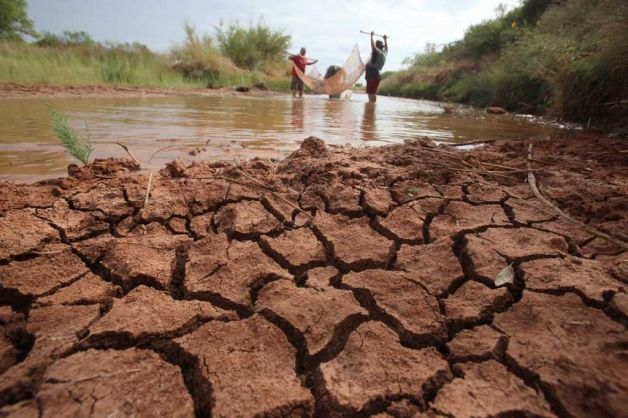 A team of aquatic biologists use a net to collect endangered fish from the Double Mountain Fork of the Brazos River in a rural area just west of Sagerton, Texas, Friday, Sept. 16, 2011. The team from Texas Tech and the Texas Parks and Wildlife Department are collecting two species of minnows from the shrinking waters of the West Texas river that have stopped flowing due to the worst drought in decades, therefore, impeding the fish's ability to spawn. Photo: LM Otero / AP