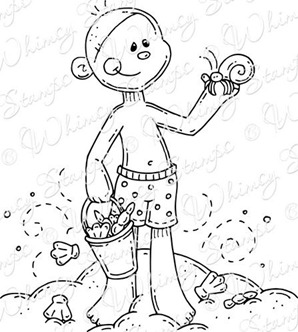Jaycens Seashells ONLINE Jaycens Seashells ONLINE