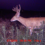 MDGC0085.JPG