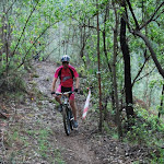 DSC_0105.JPG
